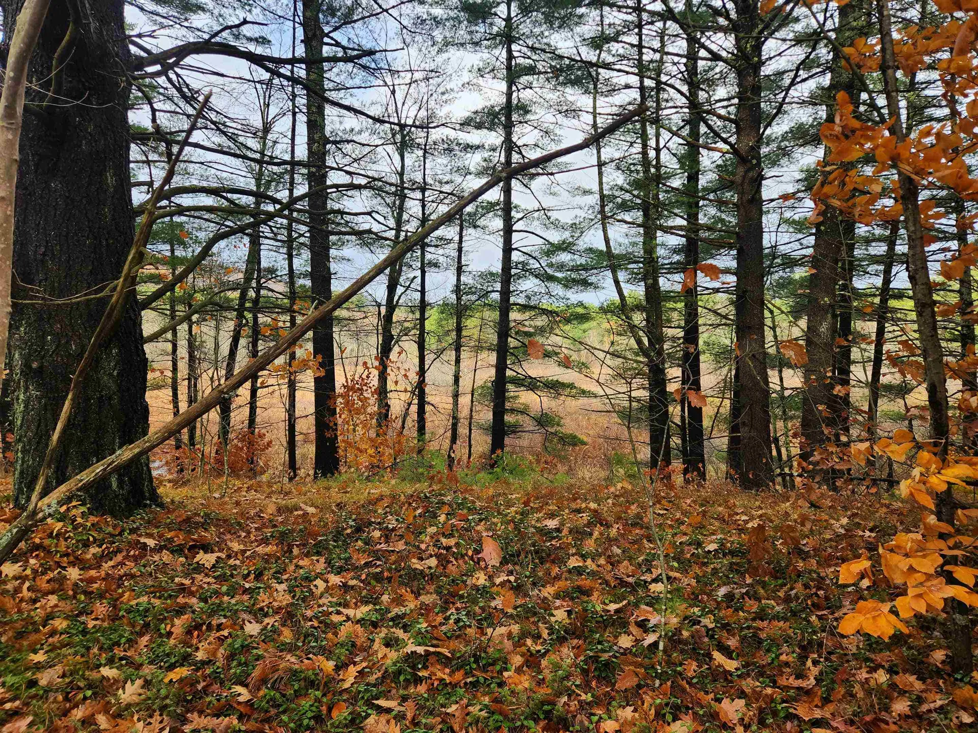 19 White Mountain Highway Wakefield NH 03872