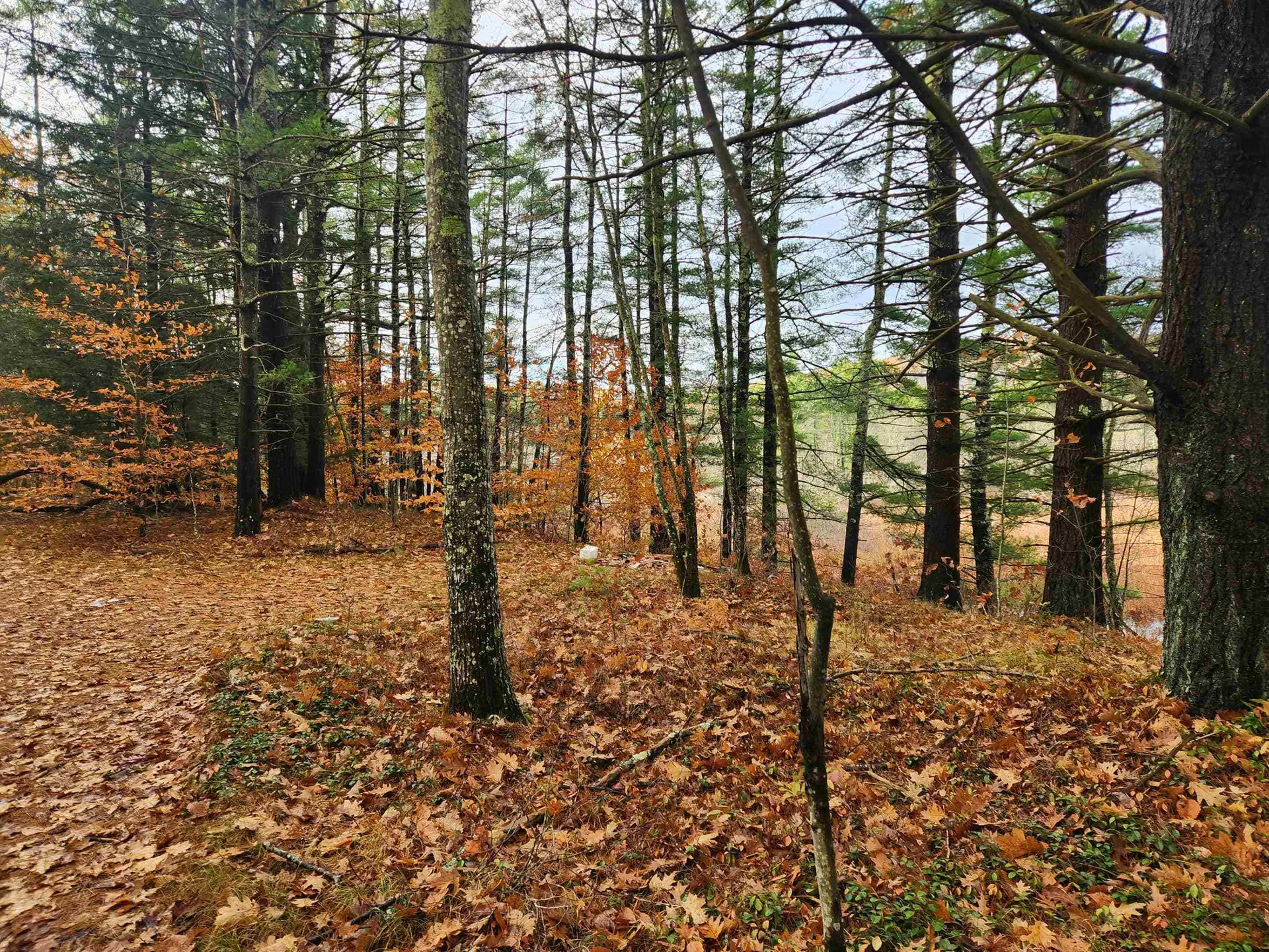 19 White Mountain Highway Wakefield NH 03872