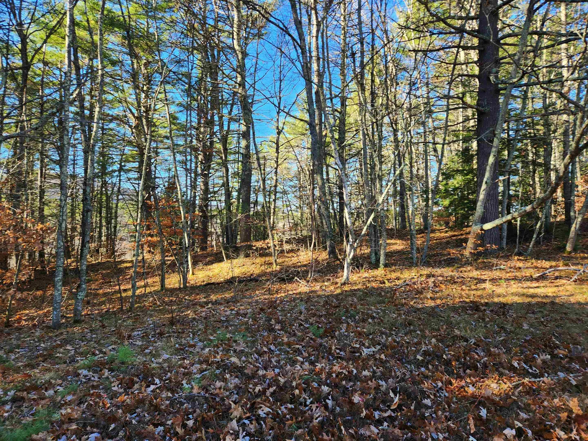 19 White Mountain Highway Wakefield NH 03872