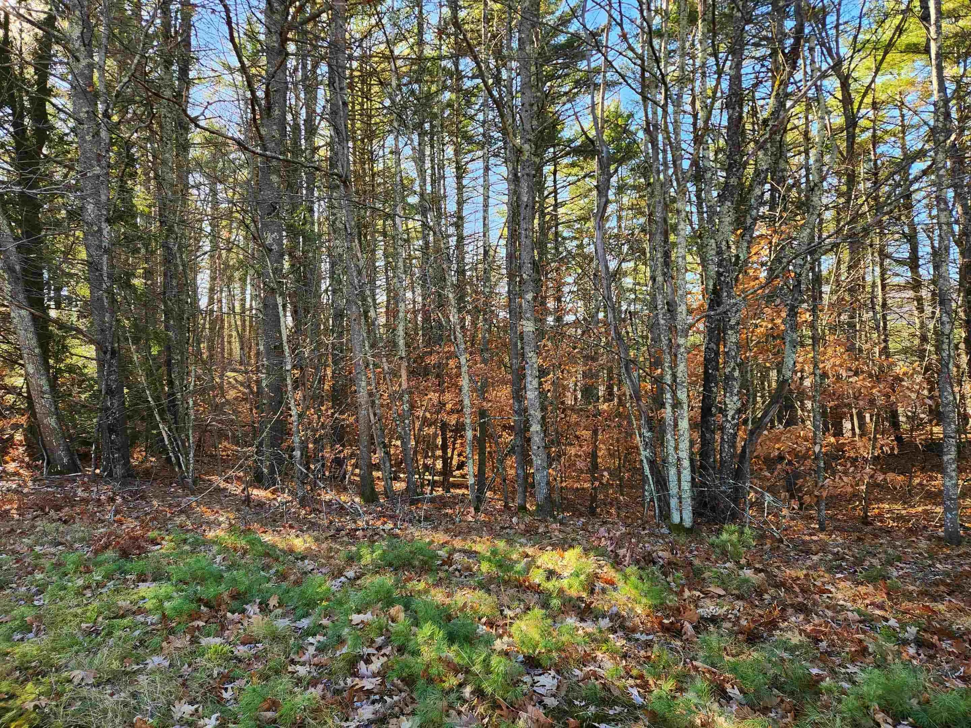 19 White Mountain Highway Wakefield NH 03872