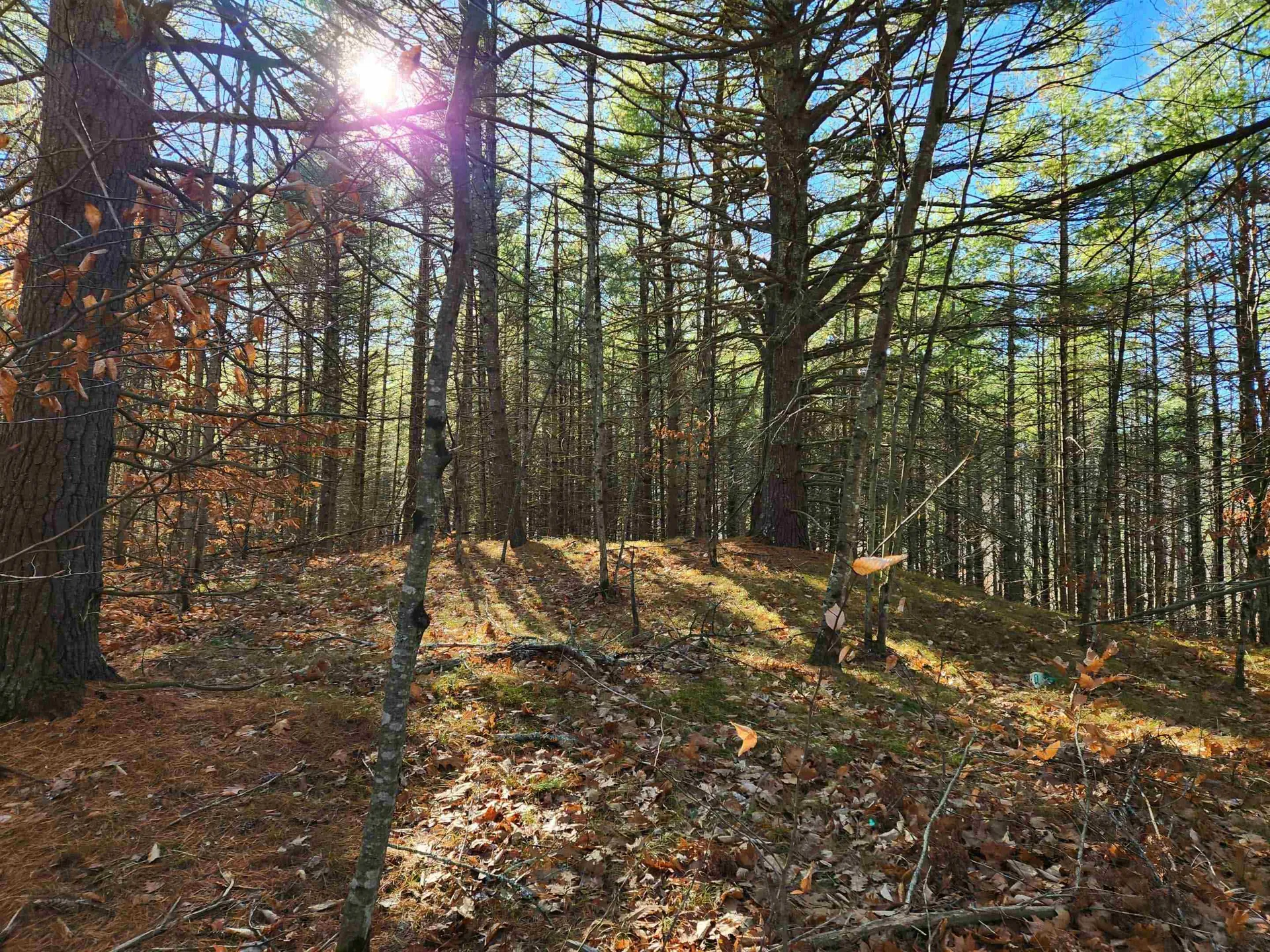 19 White Mountain Highway Wakefield NH 03872