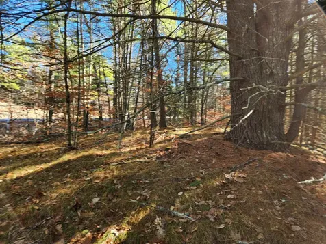 19 White Mountain Highway Wakefield NH 03872