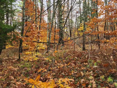 19 White Mountain Highway Wakefield NH 03872