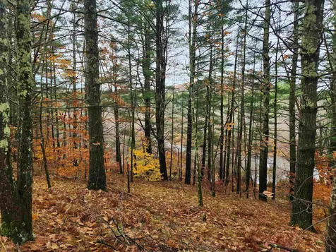 19 White Mountain Highway Wakefield NH 03872