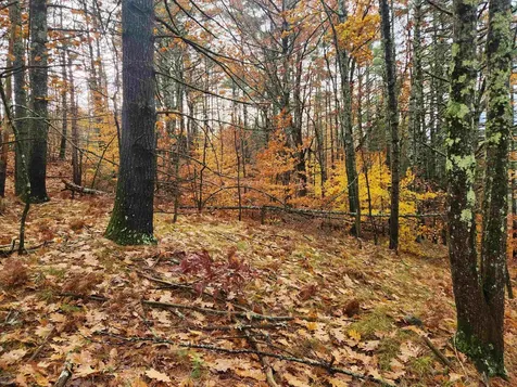 19 White Mountain Highway Wakefield NH 03872