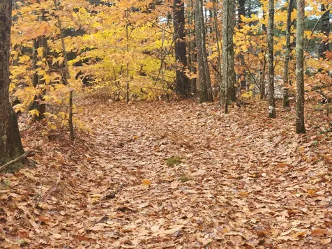 19 White Mountain Highway Wakefield NH 03872