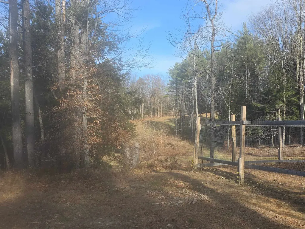 00 Will Dean Road Springfield VT 05156