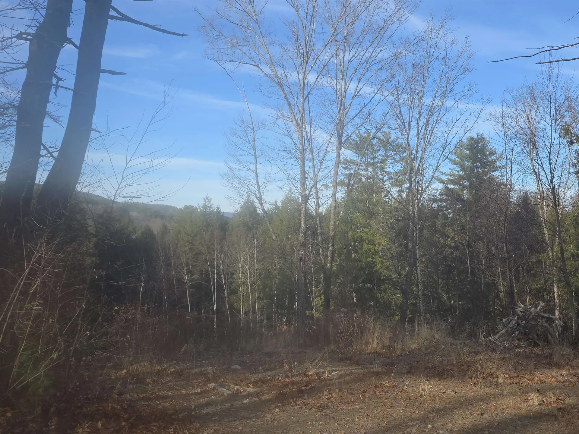 00 Will Dean Road Springfield VT 05156