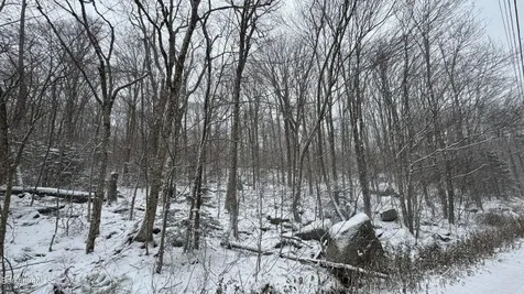 Bergrucken Lane Readsboro VT 05350