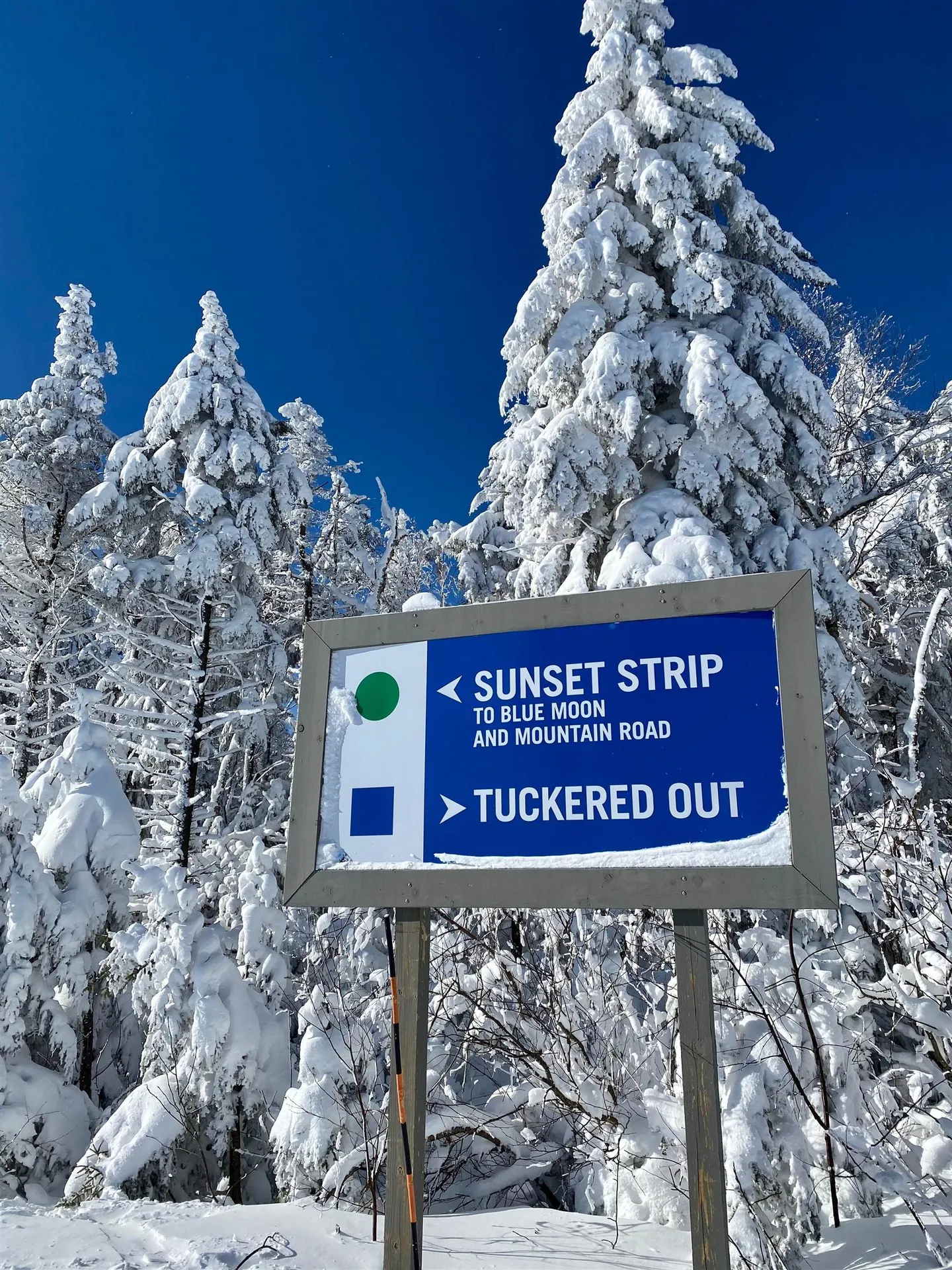 224 Qiv Jackson Gore Inn Ludlow VT 05149