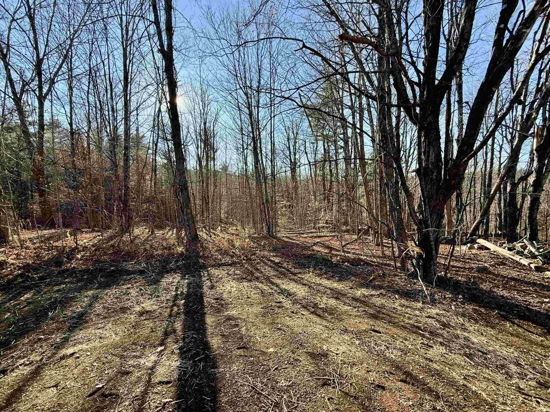 82 Edgerly School Road Meredith NH 03253