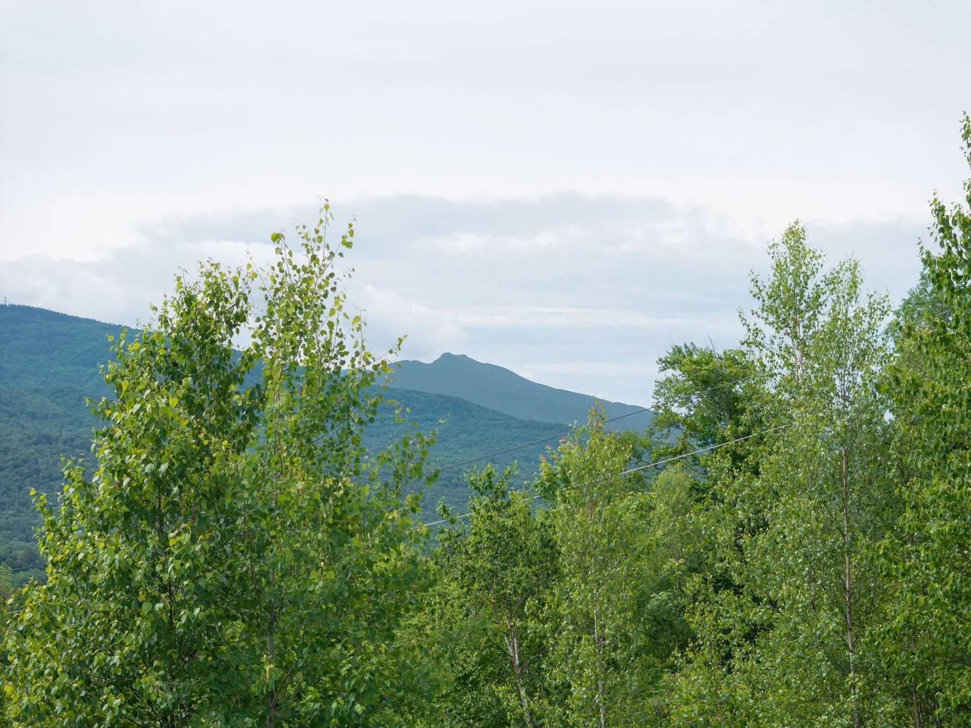 00 Birch Tree Lane Cambridge VT 05464