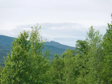 00 Birch Tree Lane Cambridge VT 05464