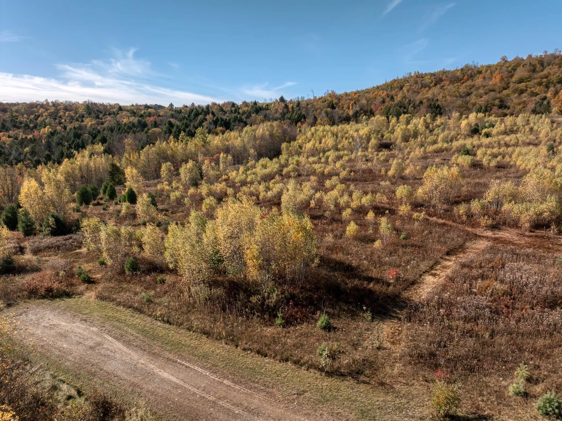 00 Birch Tree Lane Cambridge VT 05464