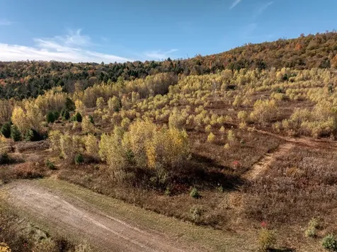 00 Birch Tree Lane Cambridge VT 05464