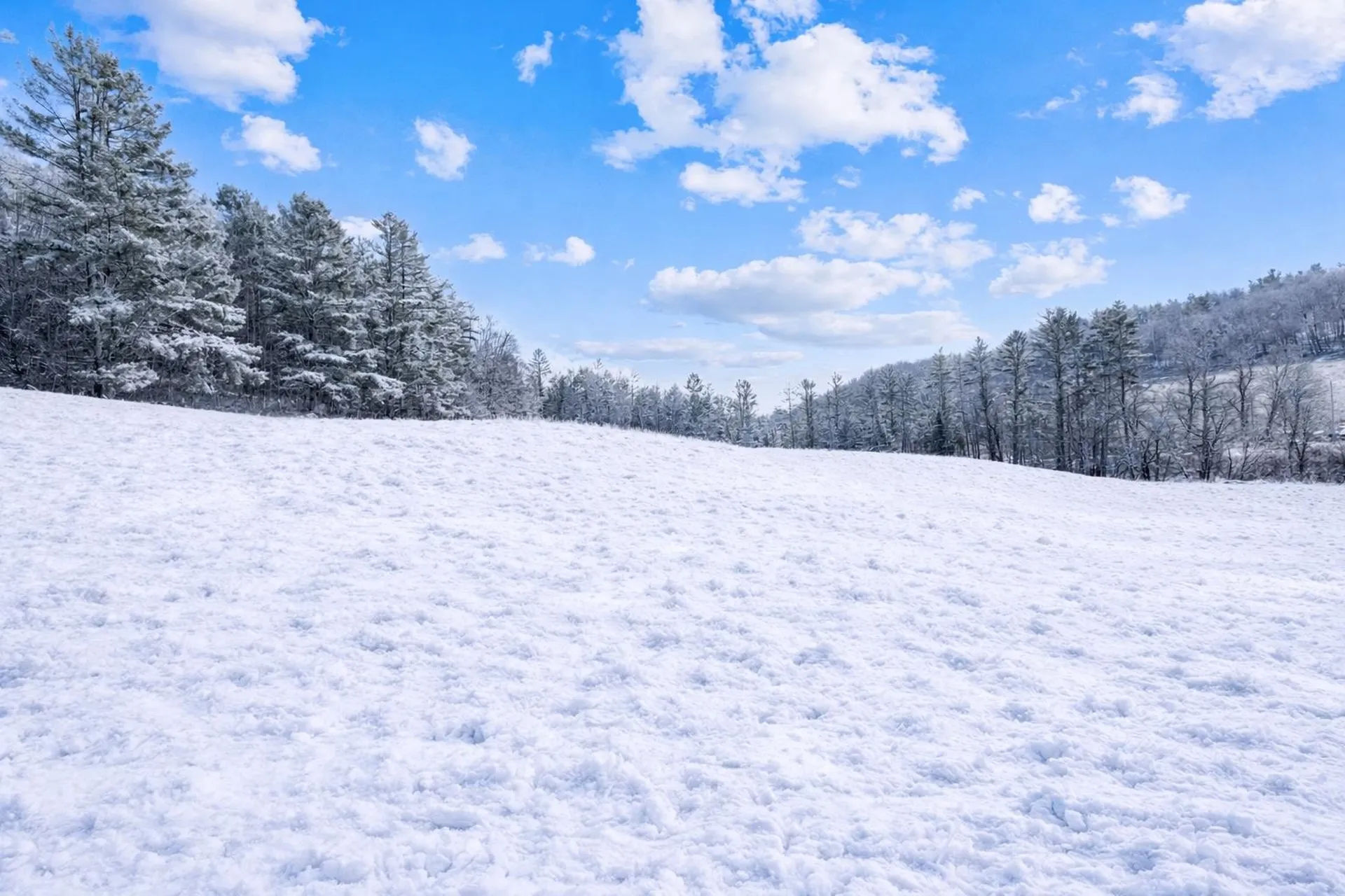 292 Brook Road Chelsea VT 05038