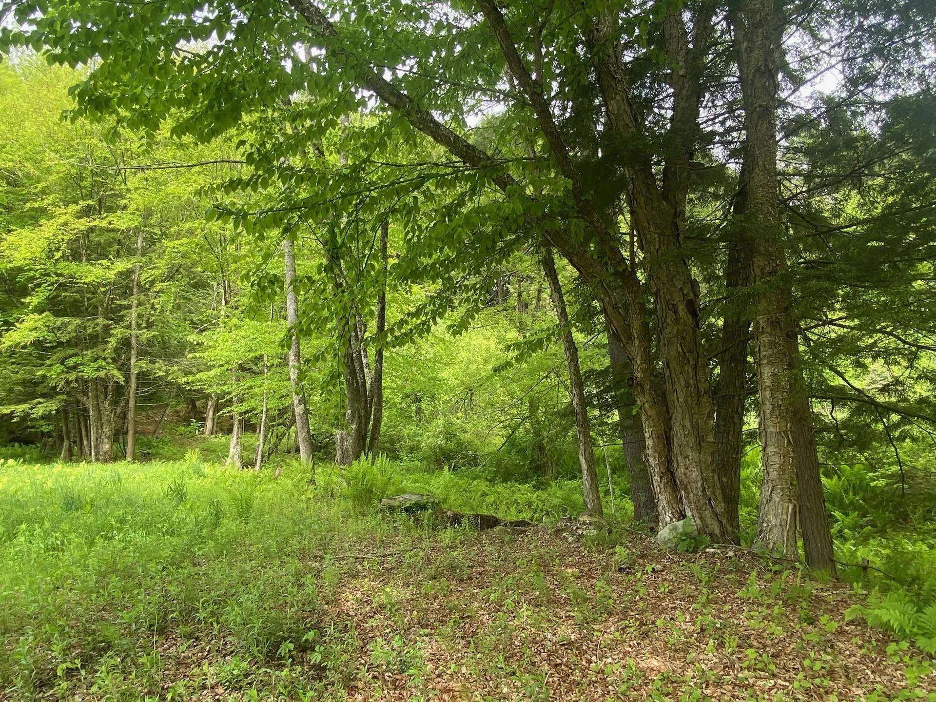 1254 Us Route 5 Weathersfield VT 05156