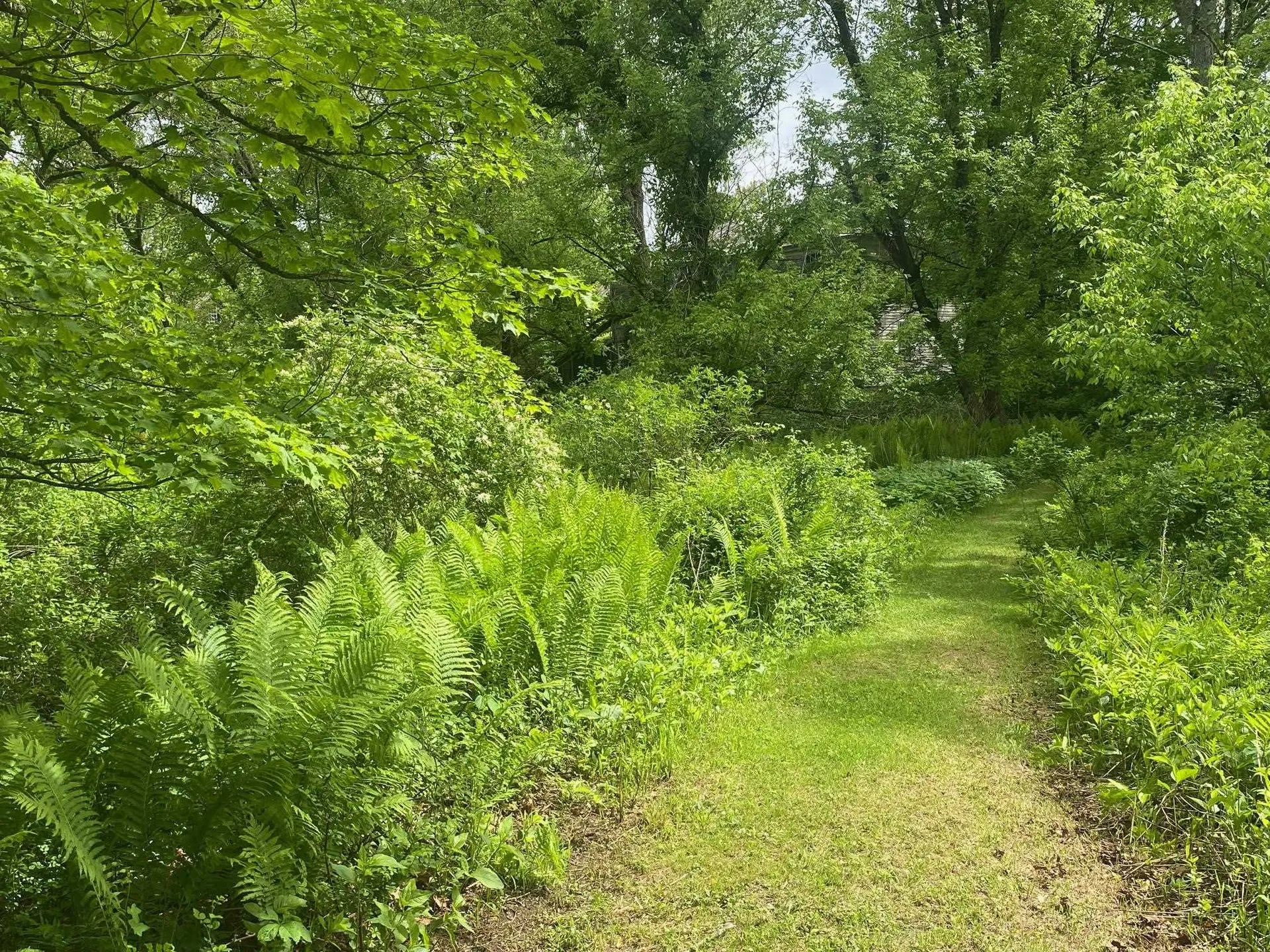 1254 Us Route 5 Weathersfield VT 05156