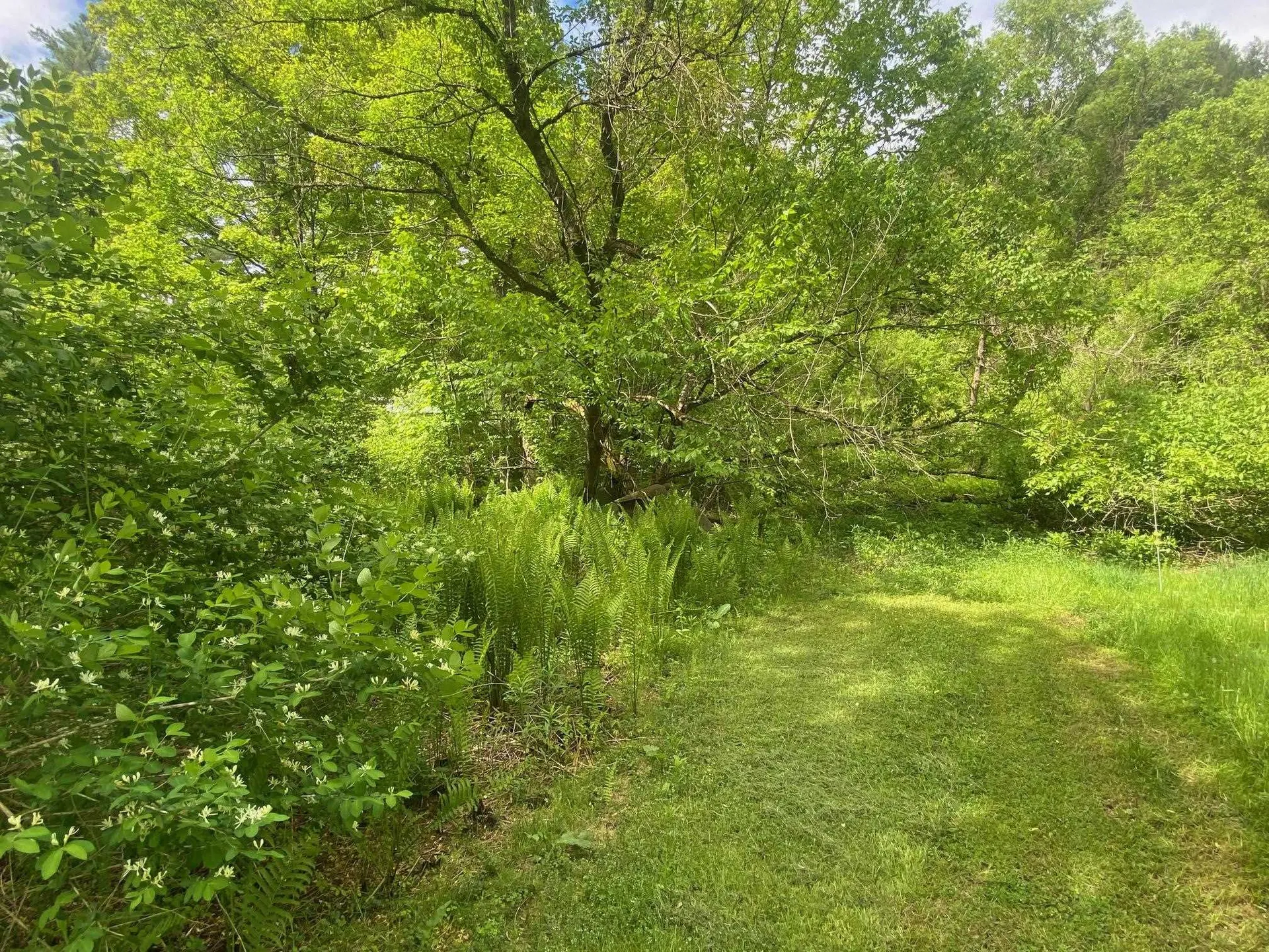 1254 Us Route 5 Weathersfield VT 05156