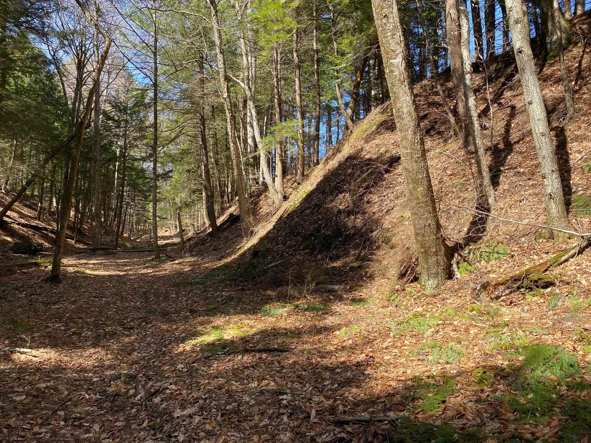 1254 Us Route 5 Weathersfield VT 05156