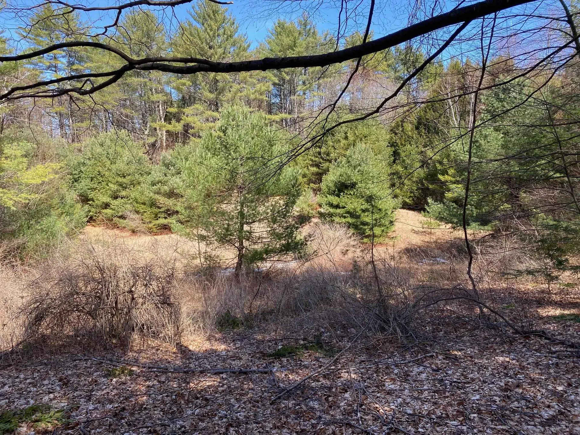 1254 Us Route 5 Weathersfield VT 05156