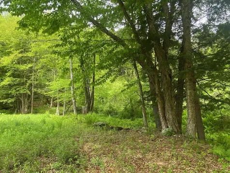 1254 Us Route 5 Weathersfield VT 05156