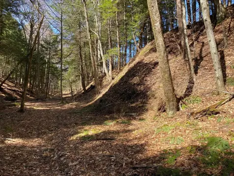 1254 Us Route 5 Weathersfield VT 05156