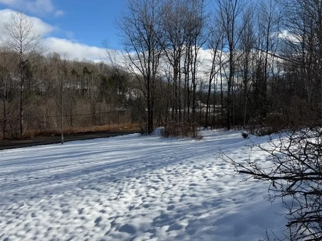 77 Wyman Road Morristown VT 05661