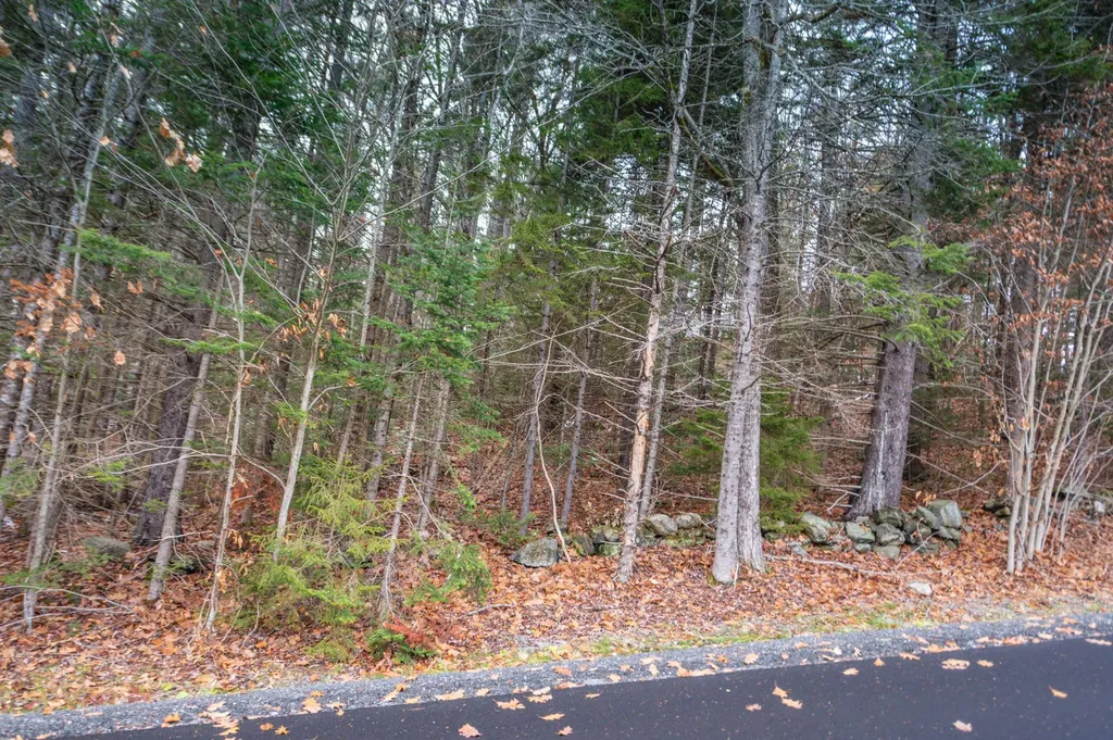 63 Villager Loop Dover VT 05356