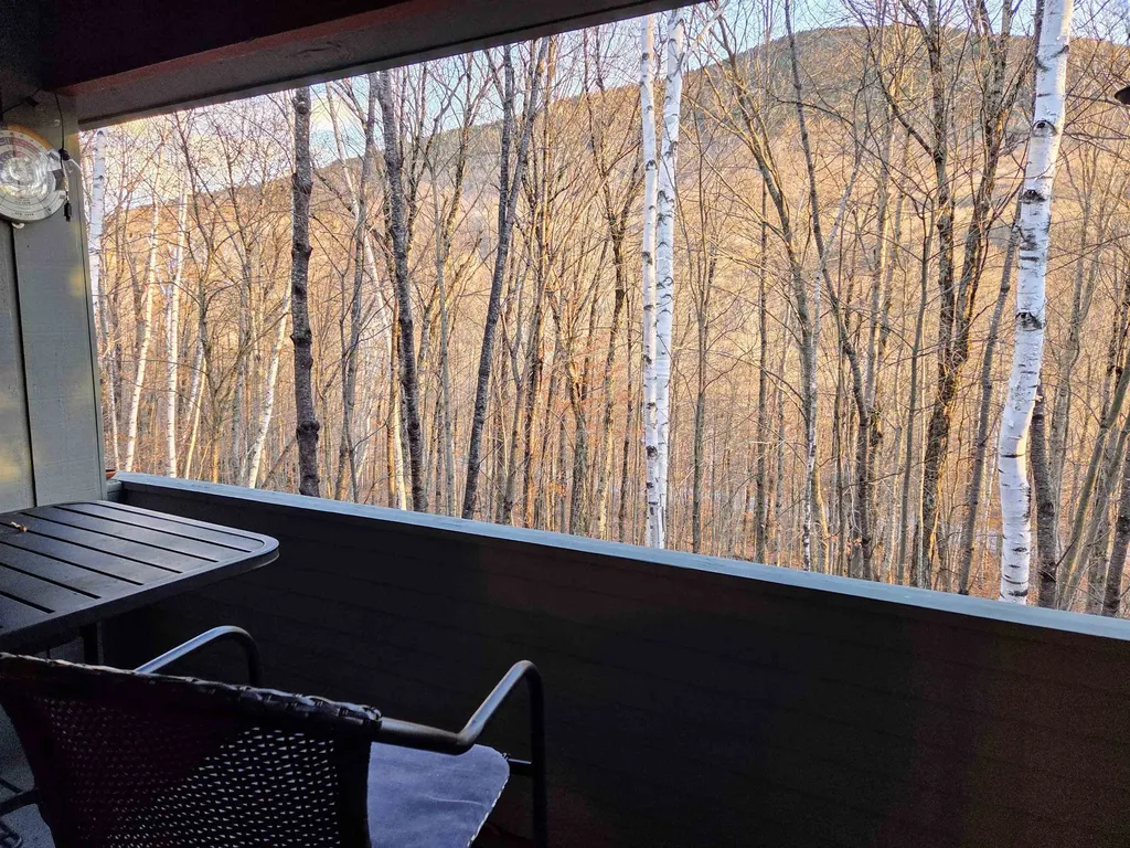 36 Easterly Road Lincoln NH 03251