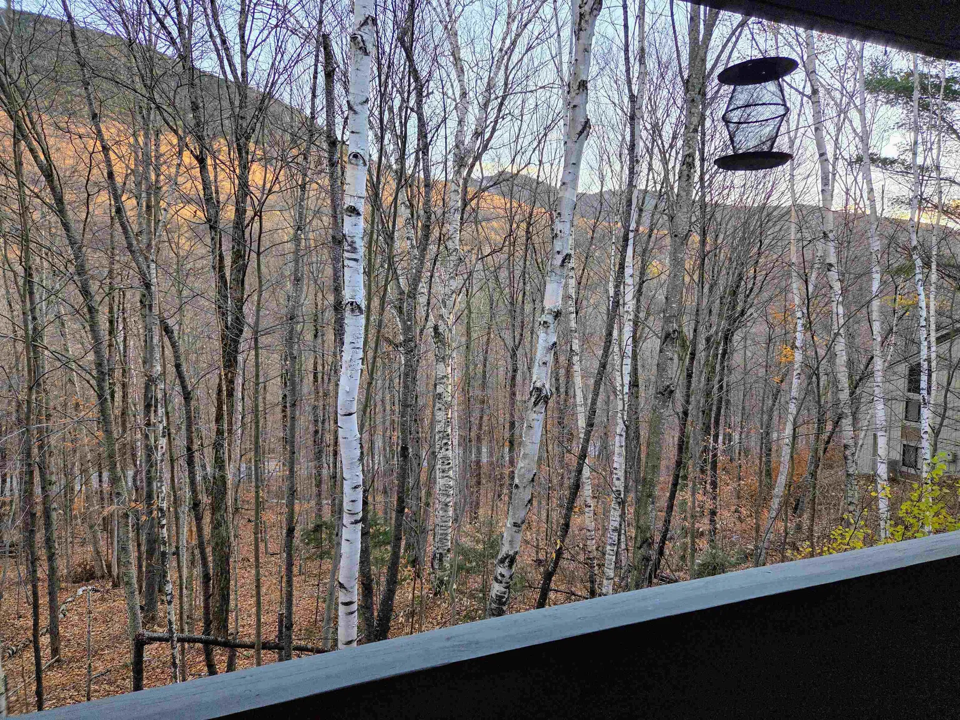 36 Easterly Road Lincoln NH 03251