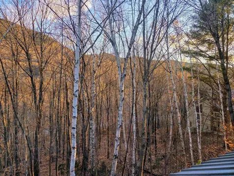 36 Easterly Road Lincoln NH 03251