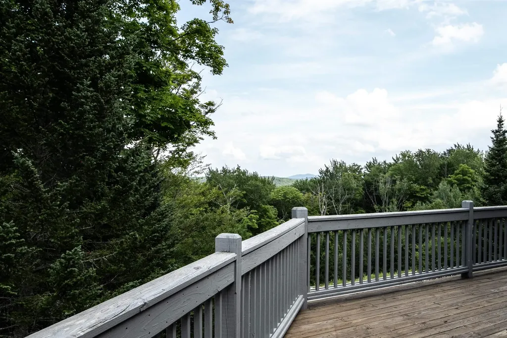 48 Alpine Way Ludlow VT 05149