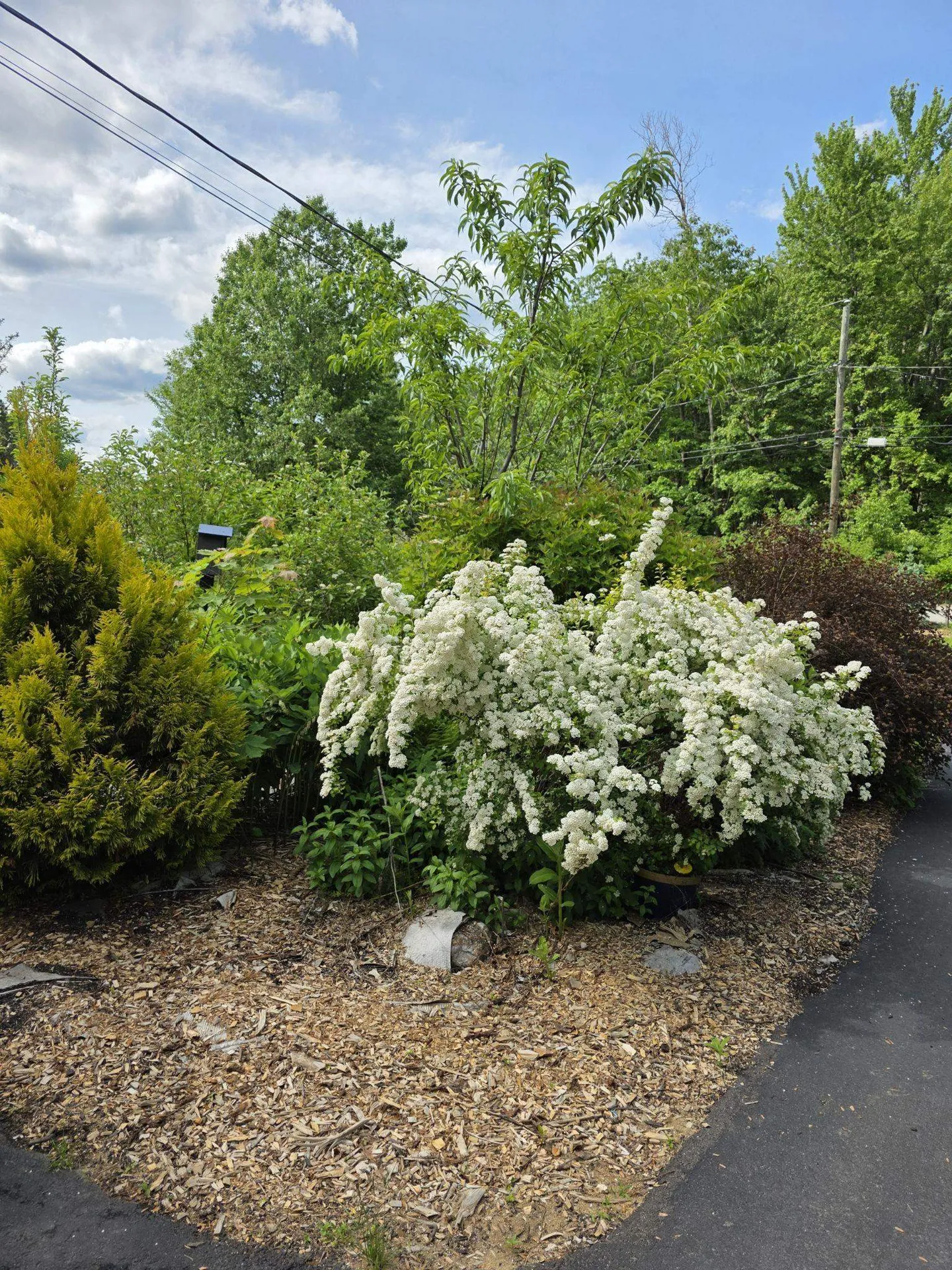 123 Warren Street Laconia NH 03246
