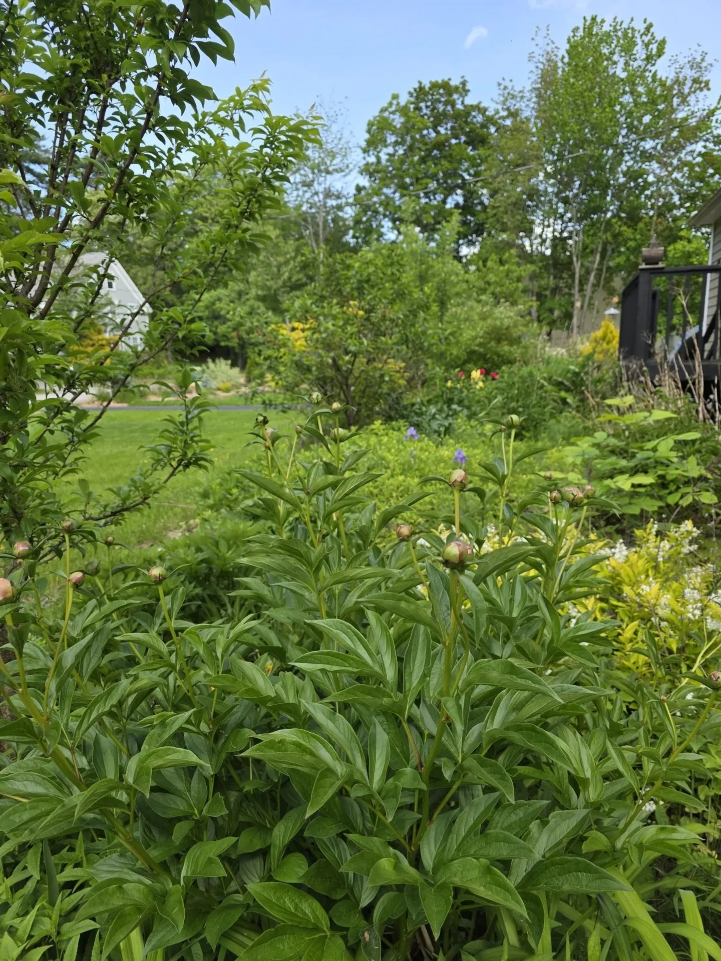 123 Warren Street Laconia NH 03246