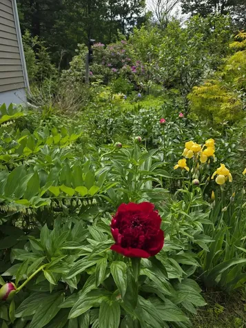 123 Warren Street Laconia NH 03246