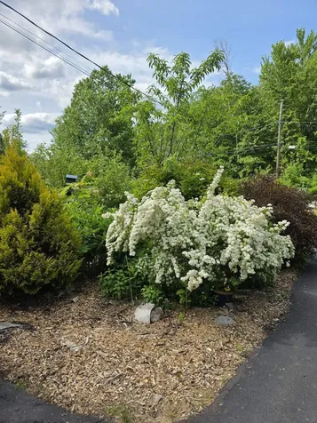 123 Warren Street Laconia NH 03246