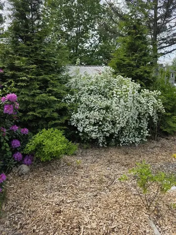 123 Warren Street Laconia NH 03246