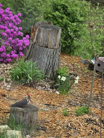 123 Warren Street Laconia NH 03246