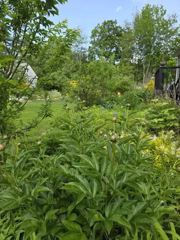 123 Warren Street Laconia NH 03246