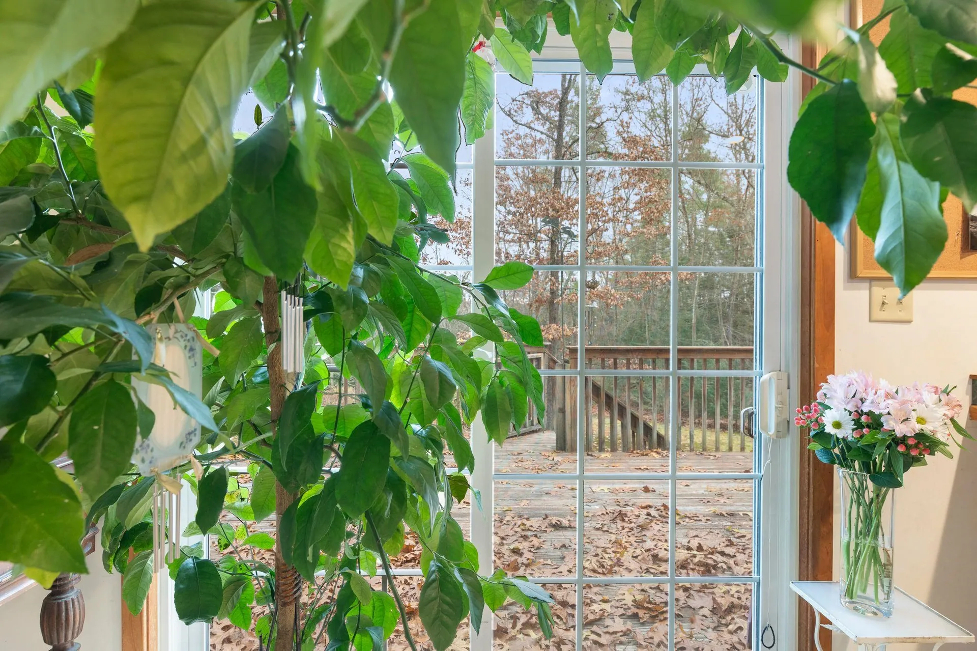 49 Whitetail Drive Vernon VT 05354