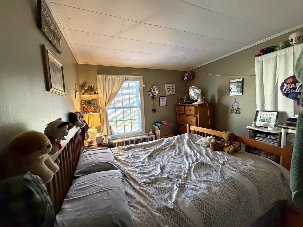 5 Pleasant Street Bristol VT 05443