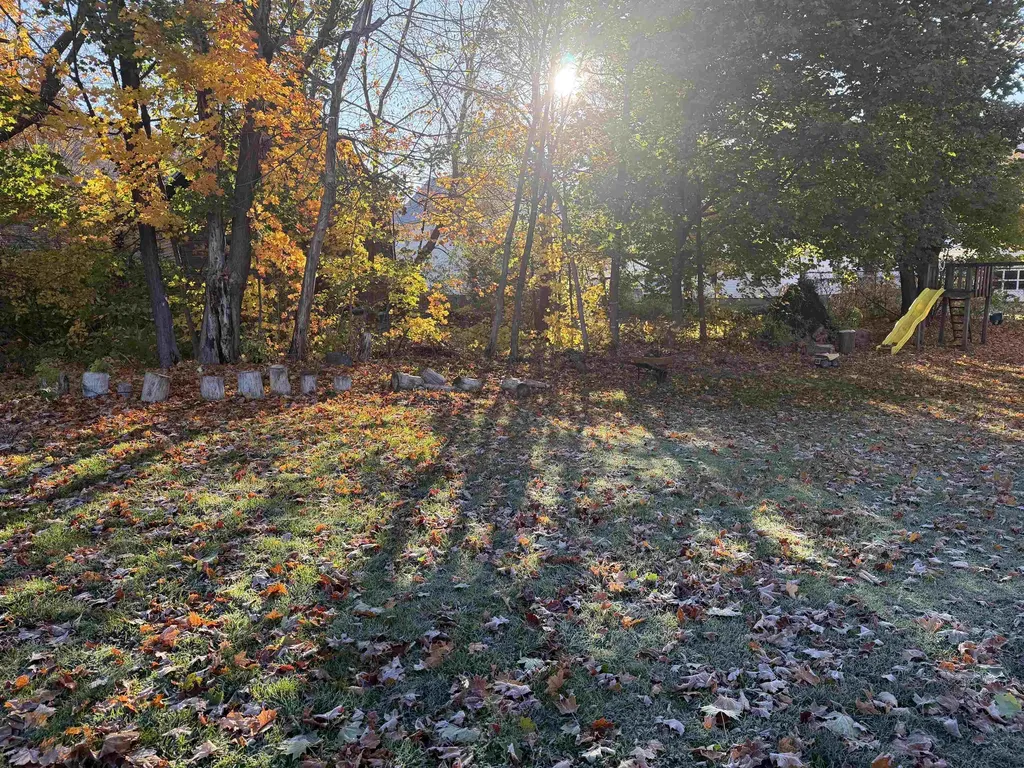 5 Pleasant Street Bristol VT 05443