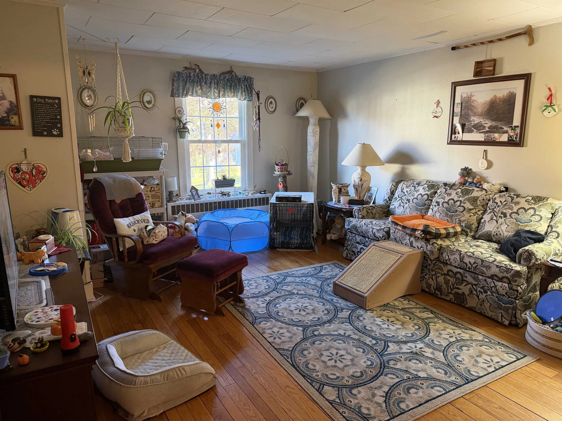 5 Pleasant Street Bristol VT 05443