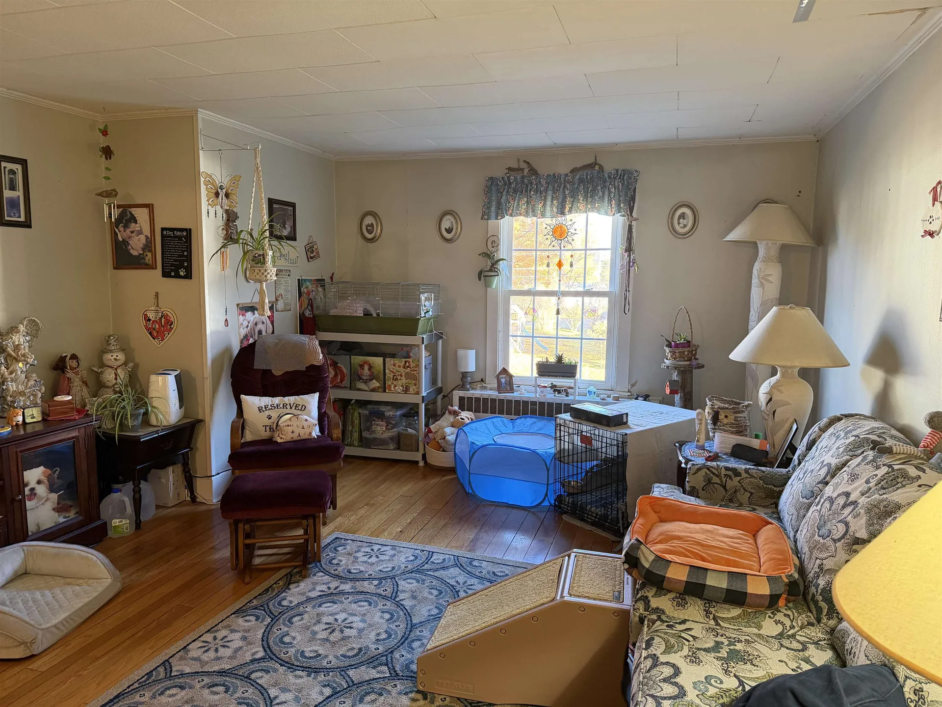 5 Pleasant Street Bristol VT 05443