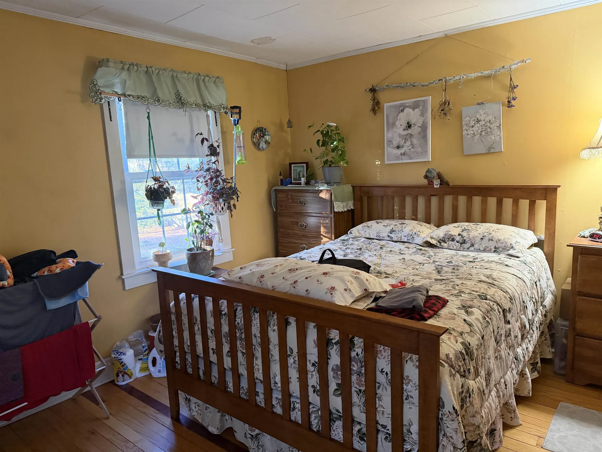 5 Pleasant Street Bristol VT 05443