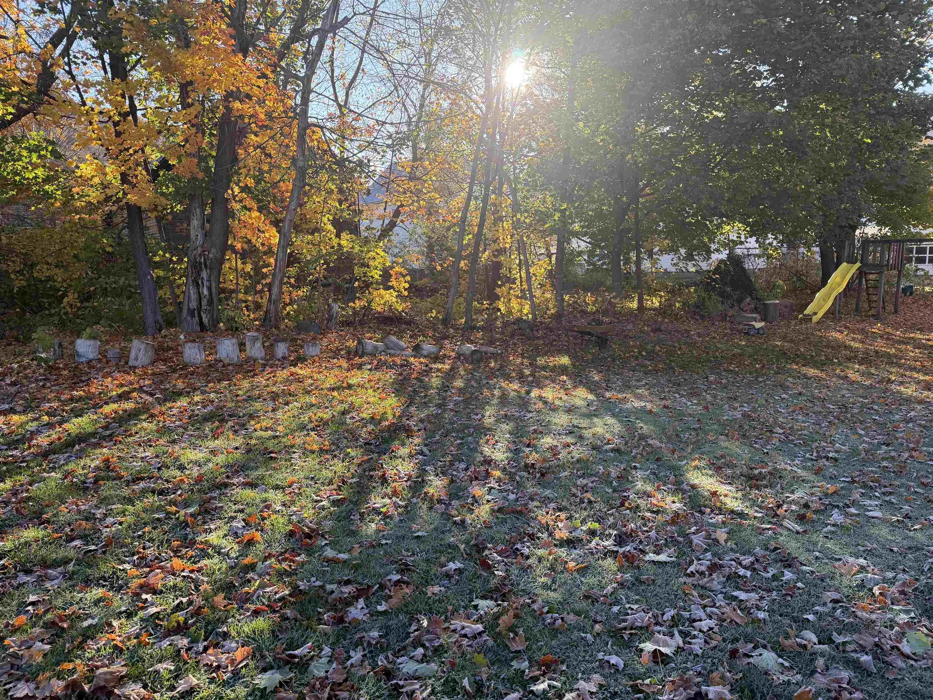 5 Pleasant Street Bristol VT 05443