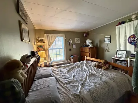 5 Pleasant Street Bristol VT 05443