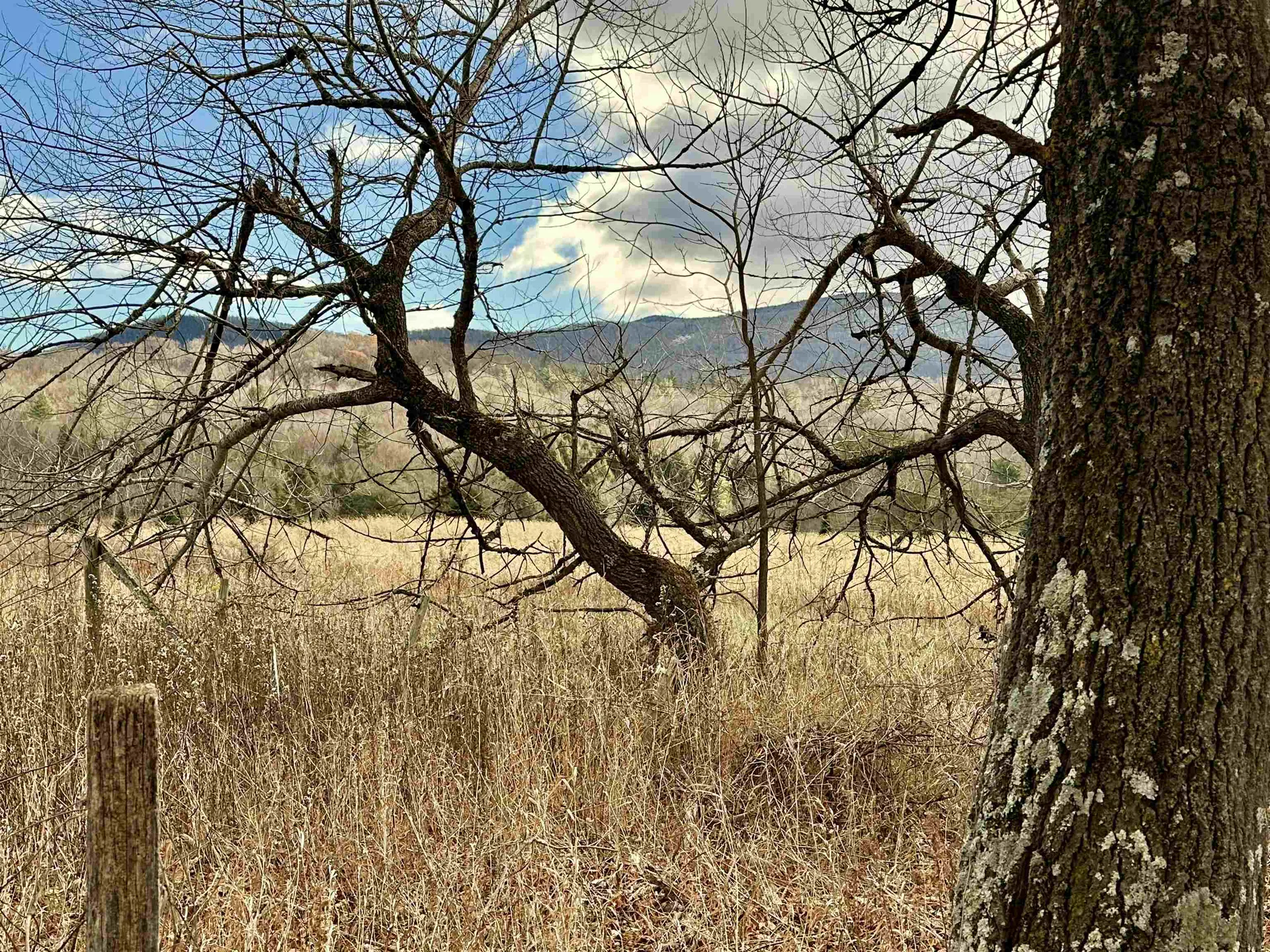 2652 Vt Route 133 Pawlet VT 05761