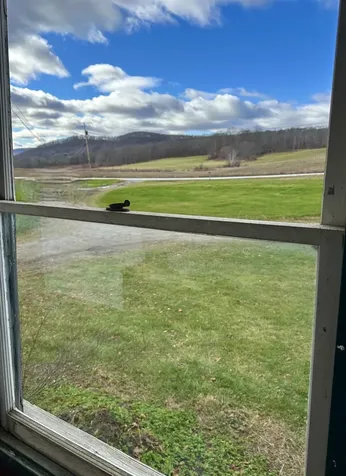 2652 Vt Route 133 Pawlet VT 05761